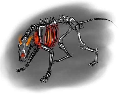 Wolf Skeleton Drawing at PaintingValley.com | Explore collection of ...