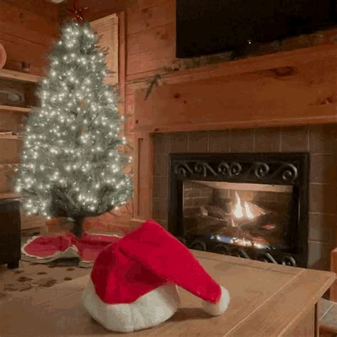 Fireplace Cozy GIF - Fireplace Cozy Christmas - Discover & Share GIFs