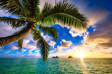 Lanikai Beach Sunrise stock image. Image of surf, wave - 112931085