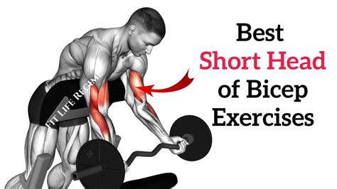 12 Best Short Head Bicep Exercises (Inner Bicep)