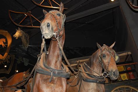 Kentucky Horse Park Museum | Taken at the Kentucky Horse Par… | Flickr