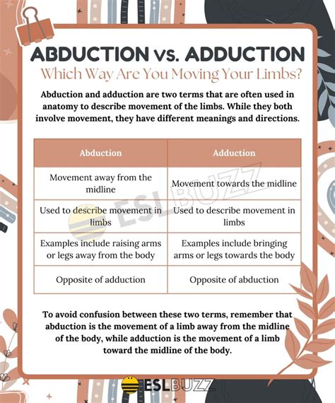 Abduction vs. Adduction: Which Way Are You Moving Your Limbs? - ESLBUZZ