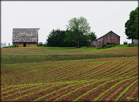 Farm | Illinois farm | Mike Eaves | Flickr