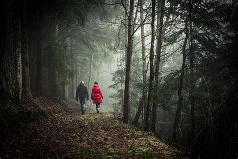 Free Images : tree, nature, forest, outdoor, wilderness, people, fog ...