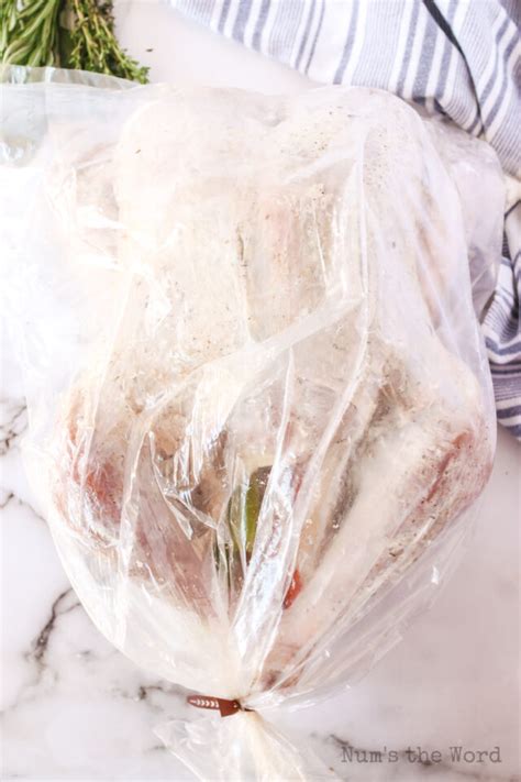 Cooking Turkey in a Bag - Num's the Word