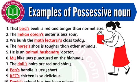 20 Examples of Possessive Noun » Onlymyenglish.com