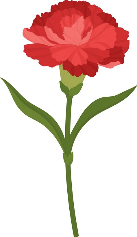 Red Carnation Clip Art