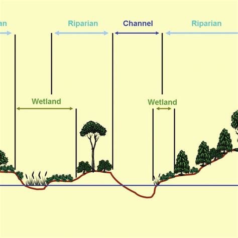 (PDF) Riparian Areas of Greece: Their Definition and Characteristics