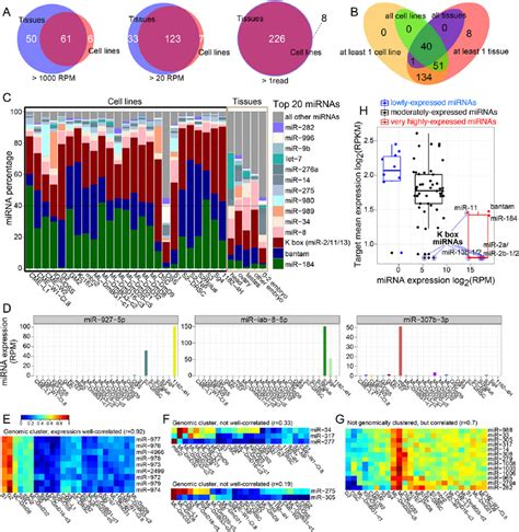 Properties of miRNA expression across cell lines. ( A ) Overlaps ...