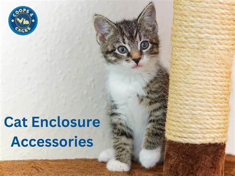 Get The Best Cat Enclosure Accessories | Coops And Cages