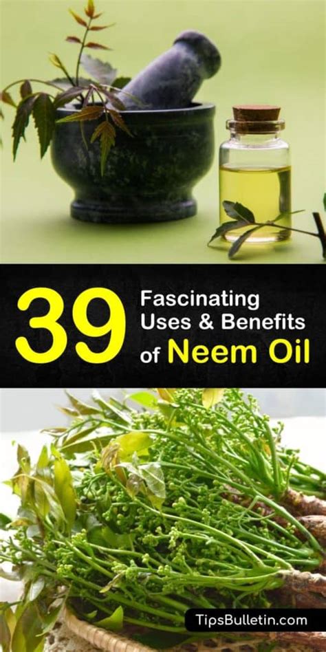 39 Fascinating Uses & Benefits of Neem Oil