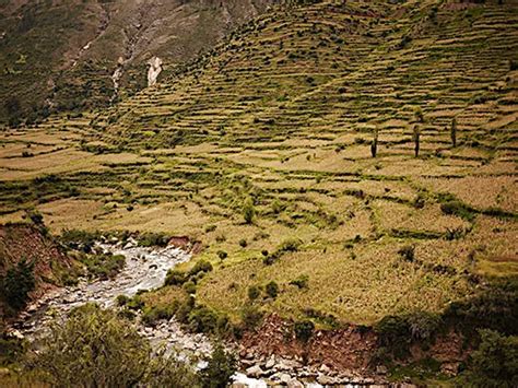 Inca Terrace Farming And Aztec Floating Gardens - Burton Wintralmor