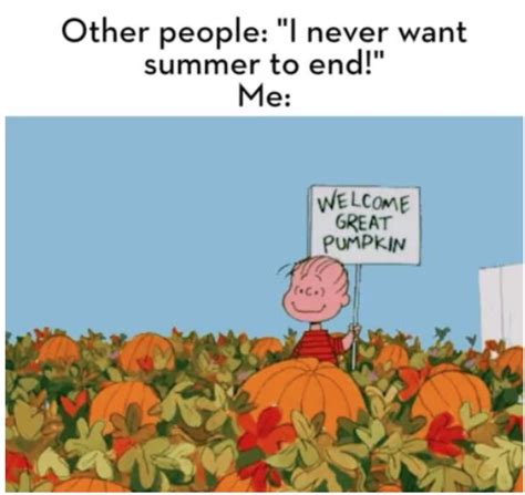 30 Funny Fall Memes for People Who Are Obsessed With Autumn | Fall memes, Memes, Fall humor