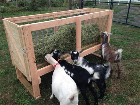 Homemade Goat Feeders For Sale | Goat feeder, Goat pen, Goat shelter