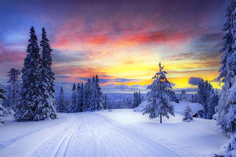 norway, winter, forest Wallpaper, HD Nature 4K Wallpapers, Images and Background - Wallpapers Den