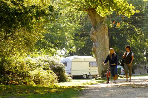 Hollands Wood Campsite, Hampshire