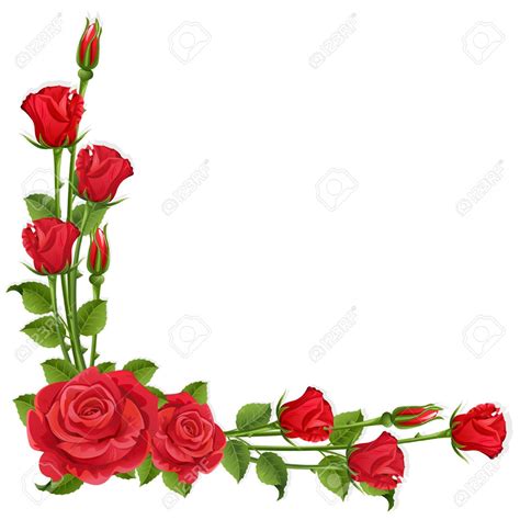 White Background With Red Roses Royalty Free Cliparts, Vectors, And ...