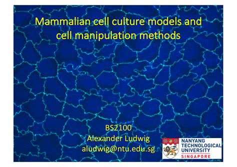 Week1 Lecture - Mammalian cell culture models and cell manipulation methods BS Alexander Ludwig ...