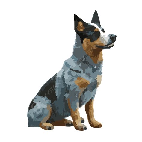 Blue Heeler Vector, Sticker Clipart Picture Of A Blue Heeler Dog On A White Surface Cartoon ...