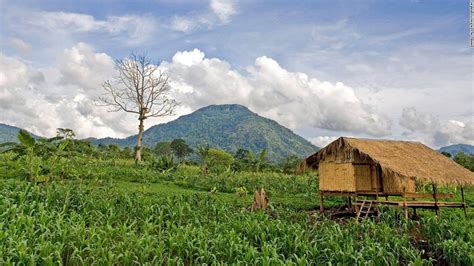 On the Bolaven Plateau, savor a Lao coffee paradise | CNN Travel