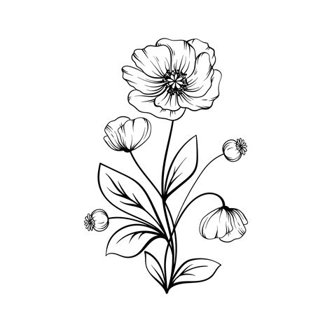 Simple Flower Drawings For Beginners