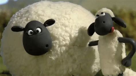 Shaun The Sheep GIF – Shaun The Sheep Stop Motion Wallace And Gromit – otkrijte i dijelite GIF-ove