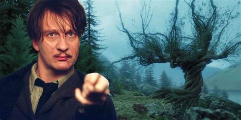 Harry Potter: Why Is the Whomping Willow So Angry?