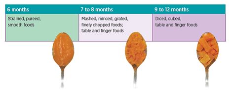 Introducing Different Textures of Baby Food • Healthy Parenting Winnipeg