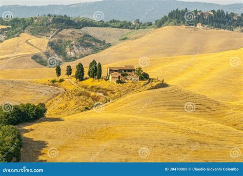 Crete Senesi, Characteristic Landscape in Val D Orcia Stock Image ...