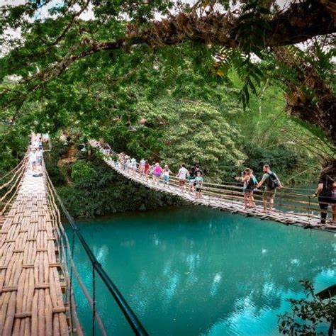 Bamboo Hanging Bridge, Bohol - what you need to know - Daily Travel Pill