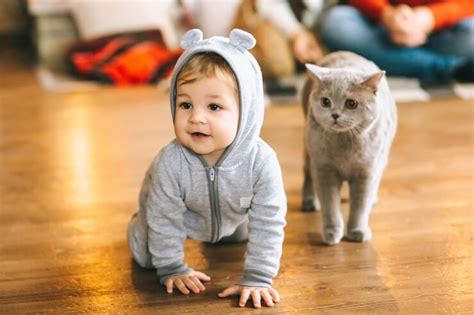 Do Cats Get Jealous of Babies? (A Veterinarian Explains) - Cats.com