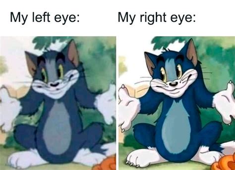 60 Tom & Jerry Memes That You Can Relate To | Bored Panda