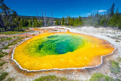 Yellowstone National Park, USA - International Traveller