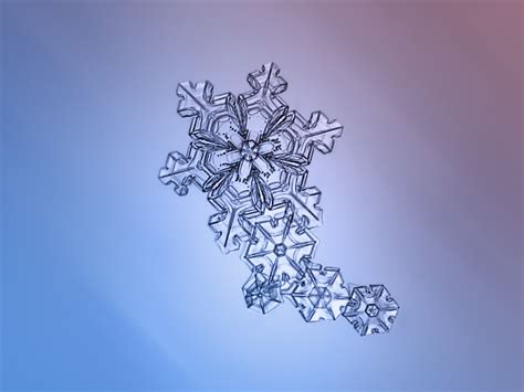 The most beautiful snowflake photos you'll ever see, captured with a cheap DIY camera - Page 2 ...