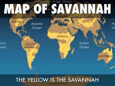 Where Is Savanna Map