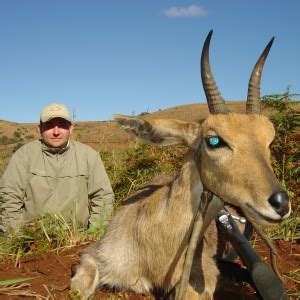 mountain reedbuck | AfricaHunting.com