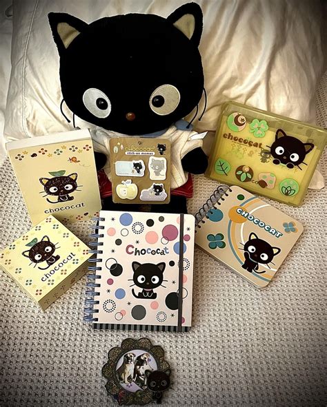 Vintage 2002-05 & 2010 Sanrio & Personally Created Build-A-Bear: Chococat Collection—Small Gift💝 ...