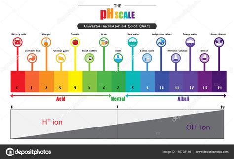 The pH scale Universal Indicator pH Color Chart diagram Stock Vector Image by ©pui2motif.gmail ...