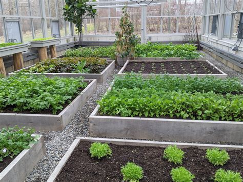 A January Harvest from My Vegetable Greenhouse - The Martha Stewart Blog