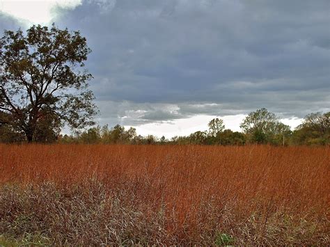 Open Field | Landscape, Landscape photography, Outdoor