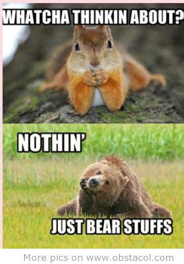 Funny animals talking | Funny animal pictures, Cute animals, Funny animals