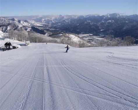 Japan Ski Season 2024-2025 | When is Best to Visit & More!