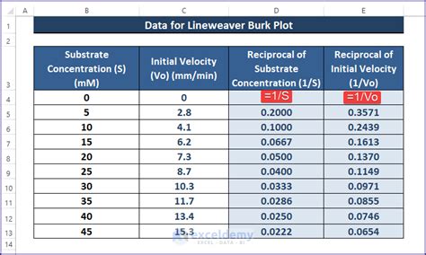 How to Make a Lineweaver Burk Plot in Excel (with Easy Steps)