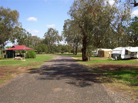 Dunedoo Caravan Park | NSW Holidays & Accommodation, Things to Do, Attractions and Events