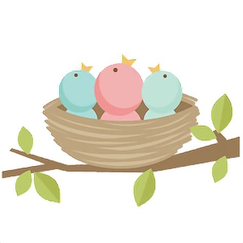 Empty Bird Nest Png Png Mart - vrogue.co