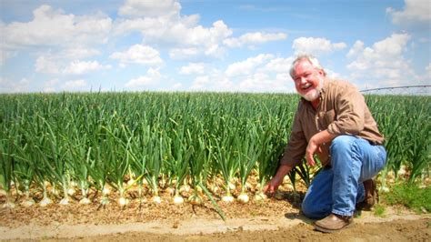 Starting Vidalia Onions at Dixondale Farms | Onion Patch