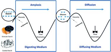 Enzymatic hydrolysis of starch in the presence of cereal soluble fibre ...