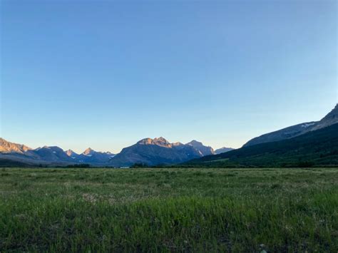 3 Best Places to See Grizzly Bears in Glacier National Park - The National Parks Experience