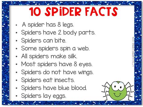 35 Fun Spider Facts for Kids | Spider facts for kids, Spider fact, Fun ...