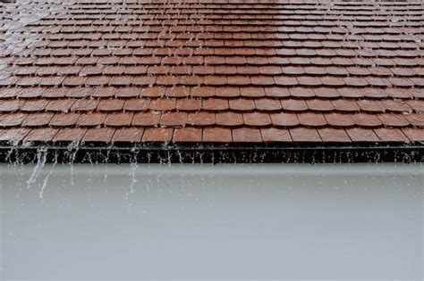 Why Roof Gutter Repair Is Important - O'Boyles Roof Plumbing